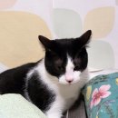 동궁찜닭 용산점 이미지