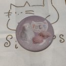 위드모빌 | 아이 리브 위드 식스 캣츠 현대백화점 신촌점 팝업 : 왕창 구매 후기 🐱🫧