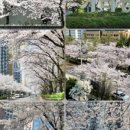 양평1동-4 이미지