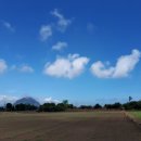 대정 골드빌라스 풀빌라 대가족숙소 이미지