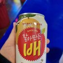 계명대로 | ​[대구/계명대 맛집] 닭동가리 신메뉴 ‘부추양파닭’ 후기! 싸이&amp;쯔양도 반한 레트로 포차