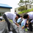 군산대성중학교