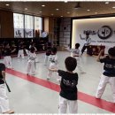 백석 더 혼 태권도 이미지