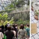 공간꽃조경 이미지