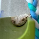 수원-0323 이미지