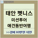 태안 애견동반여행 펫니스 미션투어 지원금 10만원 이미지