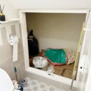 대명초등학교 이미지