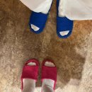 부룡수 스테이. 또 다른 애월 | [제주/애월] ‘스테이다르' 제주 감성독채숙소 내돈내산 후기 제주애월숙소 제주독채숙소 에어비앤비...