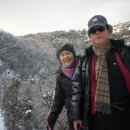 마르띠노 이미지