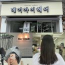 메이동동 | 대전 갈마동미용실 추천, 메이아이헤어 클리닉 후기