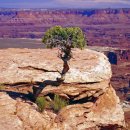 크리아트창의미술학원 이미지