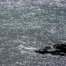 오롯이바다 이미지