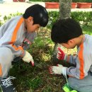 명곡초등학교 이미지