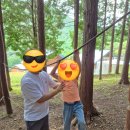 벌교숲공원 | 목포에서 고흥까지 당일치기 여행코스! 아이와 함께 보성, 팔영산, 나로우주센터 완벽 일정