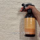 그린세탁나라 | 아이있는 집 냄새제거탈취제로 그린나라 피톤치드 탈취스프레이 추천