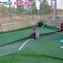 용남풋살장 이미지