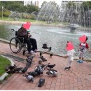 행복한방문요양센터 이미지