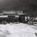 밤나무집 민박 이미지