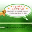 1차다이어트 43(21)일째 이미지