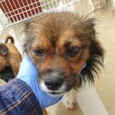 선사유적로 이미지