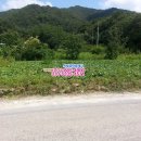 여주-1070 이미지