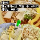 하얼빈마라탕 | [맛집] 부산 냉정, 마라탕 유목민이 정착한 꿔바로우 맛집 “하얼빈 마라탕” 후기