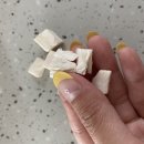 견생맛스토어 네이버블로그