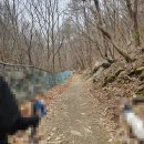 1241 | 충북 영동 민주지산 초보코스 등산 후기 대전근교 봄산행 1241m 탁트인 뷰가 매력적