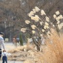 송강길 이미지