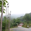 산림청 추천 2011년 7월의 휴양림- 4색매력 천관산자연휴양림 이미지