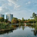 경희새힘한의원 이미지