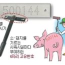 성돈농장 이미지