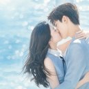 행정서사 정병태 사무소 | 쌍세총비 그 커플이 현대극에서 다시 만났다? 중국판 니시아적명중주정 : 운명처럼 널 사랑해 정보...