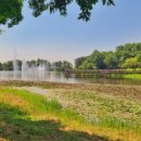 시민문화체육공원 산책로 이미지