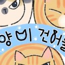 중부건어물 이미지