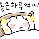 하촌할머니 이미지