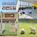 리앤드딩 | [동탄 애견카페] 리앤드딩 미끄럼방지 매트 실내와 야외운동장까지 최고 (+메뉴,가격)