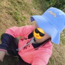 동그라미농장 | [호주 워홀] 코스타 라즈베리 농장 후기/ 준비물 / 페이슬립