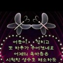 미소라