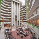 미도호텔 | 뉴욕 하모니 스위트 시코커스 미도우랜즈 호텔 후기