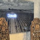 괌 인테리어 미친 초대형 카페 추천 &lt;슬로워크(Slowalk)&gt; 후기