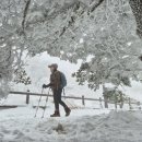 덕  산 이미지