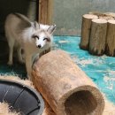 전주동물원 이미지