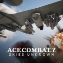 도그 에이스 이미지