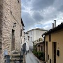 그라치에 이미지