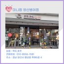 미니펍양산
