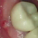 서울호수치과의원 이미지