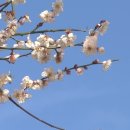 카페유니크 - 남양주시 호평로45번길 36 | 카페유니크