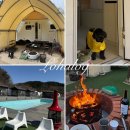 현리 | 가평 애견 카라반｜퍼피카라반4번 엄마랑 로키 봄여행 후기 (새연리조트 현리1호점)