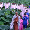 연꽃축제-서동.궁남지 연꽃축제와 선원사 연꽃축제 이미지